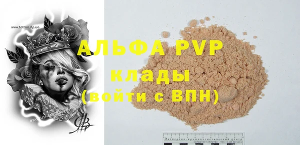 хмурый Ладушкин