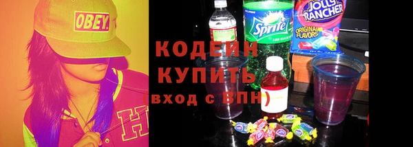дмт Лабытнанги