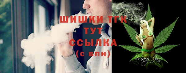 хмурый Ладушкин