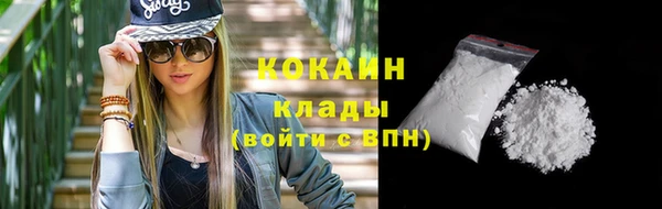 дмт Лабытнанги