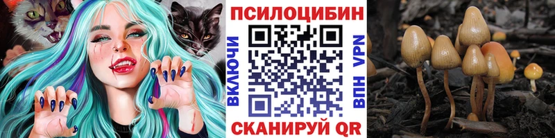 купить наркотик  Щёлково  Галлюциногенные грибы прущие грибы 